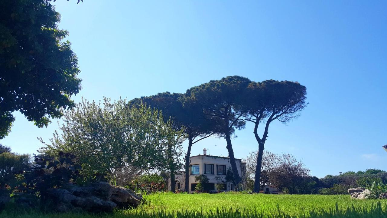 Tenuta Donnanna Agriturismo&Glamping Галатоне Экстерьер фото